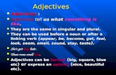 Adjectives Adjectives : Adjectives : Adjectives tell us what something is like. Adjectives tell us what something is like. They are the same in singular.