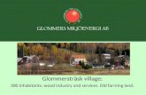 Glommersträsk village: 300 inhabitants, wood industry and services. Old farming land.