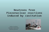 Neutrons from Piezonuclear reactions induced by cavitation Fabio Cardone Giovanni Cherubini Andrea Petrucci.
