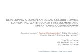 Ocean Sciences – Orlando – 2008, 4th of March DEVELOPING A EUROPEAN OCEAN COLOUR SERVICE SUPPORTING WATER QUALITY ASSESSMENT AND OPERATIONAL OCEANOGRAPHY.