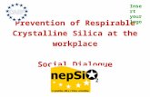 Prevention of Respirable Crystalline Silica at the workplace Social Dialogue Insert your logo.