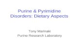 Purine & Pyrimidine Disorders: Dietary Aspects Tony Marinaki Purine Research Laboratory.