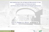1 Salt weathering in the Al-Namrud Monuments in Iraq: characterization of historical stone and fresh stone treated with accelerated decay tests Al-Mukhtar.