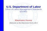 U.S. Department of Labor U.S. Department of Labor Office of Labor-Management Standards (OLMS) Electronic Forms Welcome to the Electronic Form LM-3.