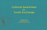 Cultural Awareness In Youth Exchange Dennis White dkwhite@itol.com .