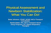 Physical Assessment and Newborn Stabilization: What You Can Do! Bette Johnson, CRNP, SCMC NICU Transport Coordinator Randa Bates, RN, NICU Transport Nurse.
