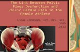 The Link Between Pelvic Floor Dysfunction and Pelvic Girdle Pain in the Female Athlete Lisa Johnson, DPT, OCS, WCS, CSCS 2013.