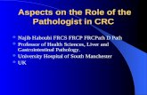Aspects on the Role of the Pathologist in CRC Aspects on the Role of the Pathologist in CRC Najib Haboubi FRCS FRCP FRCPath D Path Professor of Health.