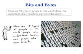 1 There are 10 types of people in this world: those that understand binary numbers, and those that dont... Bits and Bytes.