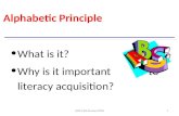 LEER MAS Revised 20061 Alphabetic Principle What is it? Why is it important to literacy acquisition?
