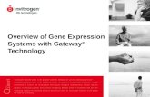 Overview of Gene Expression Systems with Gateway ® Technology.