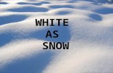 WHITE AS SNOW. Did you remember to pray? What is immorality? The Greek word for "immorality" is porneia which means illicit sexual intercourse, i.e.,