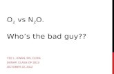 O 2 vs N 2 O. Whos the bad guy?? YEE L. KWAN, RN, CCRN DUNAP, CLASS OF 2013 OCTOBER 22, 2012.