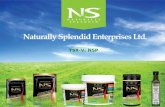 1 TSX-V: NSP. Confidential to Naturally Splendid Enterprises Ltd. This presentation contains forward-looking statements. These forward looking statements.