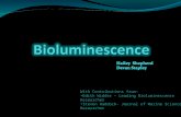 With Contributions from- Edith Widder – Leading Bioluminescence Researcher Steven Haddock- Journal of Marine Science Researcher.