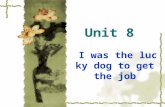 Unit 8 I was the lucky dog to get the job. Words standard ['stænd ɚ d] n., ; afford [ə'f ɔ :d] v. bargain ['b ɑ :gin] v. bottom ['b ɔ təm] n. 1. ; ; 2.,