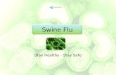 Stay Healthy - Stay Safe Swine Flu. What is swine flu? A respiratory disease of pigs caused by type A (H1N1) influenza viruses. People do not normally.
