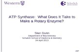 DUP ATP Synthase: What Does It Take to Make a Rotary Enzyme? Stan Dunn Department of Biochemistry Schulich School of Medicine & Dentistry 24 April 2013.