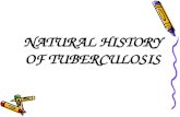 NATURAL HISTORY OF TUBERCULOSIS. CAUSATIVE AGENT M. tuberculosis is a facultative intracellular parasite, i.e., it is readily ingested by phagocytes and.