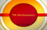 TM Perforations Beth Burlage. Definition Perforation - a hole or pattern made by or as if by piercing, in this case, in the tissue of the tympanic membrane.