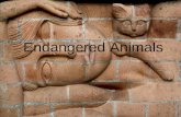 Endangered Animals. Ceramic Art Ceramics (art) Ceramics and ceramic art in the art world means artwork made out of clay bodies and fired into the hardened.