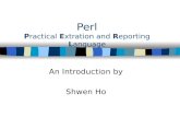 Perl Practical Extration and Reporting Language An Introduction by Shwen Ho.