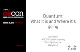 Quantum: What it is and Where its going Lew Tucker VP/CTO Cloud Computing Cisco Systems, Inc. @lewtucker.