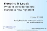 Www.probonopartnership.org Copyright 2012 Pro Bono Partnership. All rights reserved. No further use, copying, dissemination, distribution or publication.