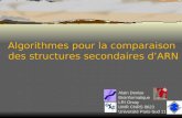 Alain Denise Bioinformatique LRI Orsay UMR CNRS 8623 Université Paris-Sud 11 Algorithmes pour la comparaison des structures secondaires dARN Algorithmes.