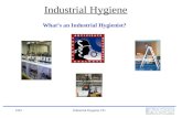 SSOIndustrial Hygiene 101 Industrial Hygiene Whats an Industrial Hygienist?