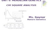UNIT 6: MENDELIAN GENETICS CHI SQUARE ANALYSIS Ms. Gaynor Honors Genetics.