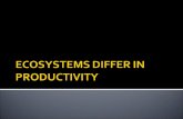 ECOSYSTEMS DIFFER IN PRODUCTIVITY Food webs, food chains, pyramids – you can also look at ecosystems through their productivity. Productivity is the rate.