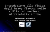 1 Introduzione alla fisica degli heavy flavour nelle collisioni nucleari ultrarelativistiche Federico Antinori (INFN, Padova & CERN, Ginevra) FA - Quark.