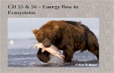 CH 55 & 56 – Energy flow in Ecosystems. Overview: Ecosystems An ecosystem consists of all the organisms living in a community, as well as the abiotic.