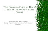The Riparian Flora of Rock Creek in the Pickett State Forest Bethany L. Alley and S.K. Ballal Biology Department of Tennessee Technological University.
