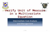 Verify Unit of Measure in a Multivariate Equation © 20111.