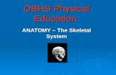 OBHS Physical Education OBHS Physical Education ANATOMY – The Skeletal System.