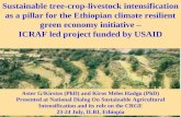 Sustainable tree-crop-livestock intensification as a pillar for the Ethiopian climate resilient green economy initiative – ICRAF led project funded by.