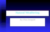 Natural Weathering By Nina Bergold. What is Natural Weathering? Natural weathering, or physical weathering, is the term used to describe the process of.
