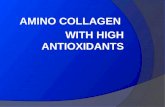 AMINO COLLAGEN WITH HIGH ANTIOXIDANTS. What is Collagen Peptide ? Collagen peptide is a gelatin hydrosate derived from fish scales and skin. Collagen.