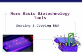 AP Biology 2007-2008 More Basic Biotechnology Tools Sorting & Copying DNA.
