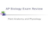AP Biology Exam Review Plant Anatomy and Physiology.