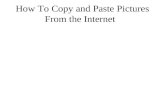 How To Copy and Paste Pictures From the Internet.