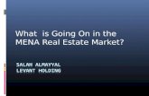 What is Going On in the MENA Real Estate Market?.