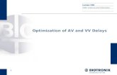 0 Optimization of AV and VV Delays Lumax 540 CRM Training and Education.