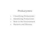 Prokaryotes 1. 1. Classifying Prokaryotes 2. 2. Identifying Prokaryotes 3. 3. Role in the Environment 4. 4. Bacteria and Disease.