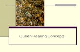 Queen Rearing Concepts. Why rear your own queens? Cost Time Availability Mite and Disease Resistance AHB Acclimatized Bees Quality.