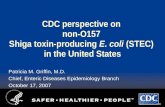 CDC perspective on non-O157 Shiga toxin-producing E. coli (STEC) in the United States Patricia M. Griffin, M.D. Chief, Enteric Diseases Epidemiology Branch.