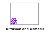 Diffusion and Osmosis. Diffusion and Osmosis Overview You will investigate diffusion and osmosis in a model membrane system You will investigate the effect.
