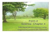 Form 2 Sn Chapter 4